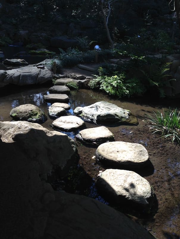 Shiatsu Garden image2